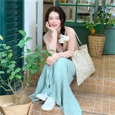 隐形红翼